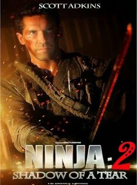 Ninja 2 - La Sombra de la Muerte